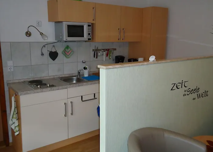 Helmis 바트프랑켄하우젠