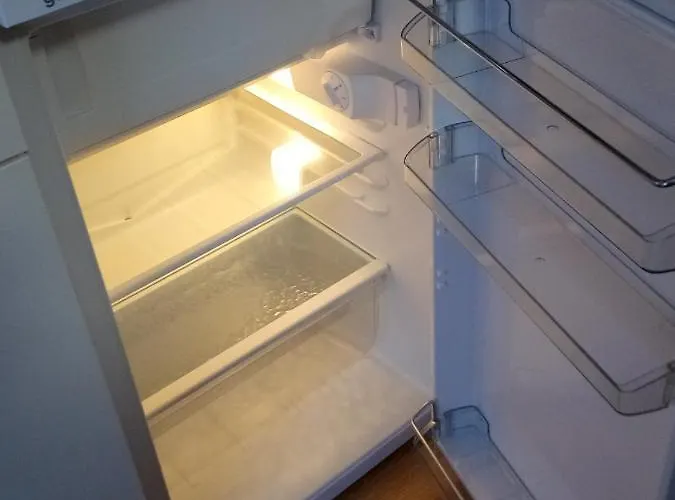 Helmis 바트프랑켄하우젠